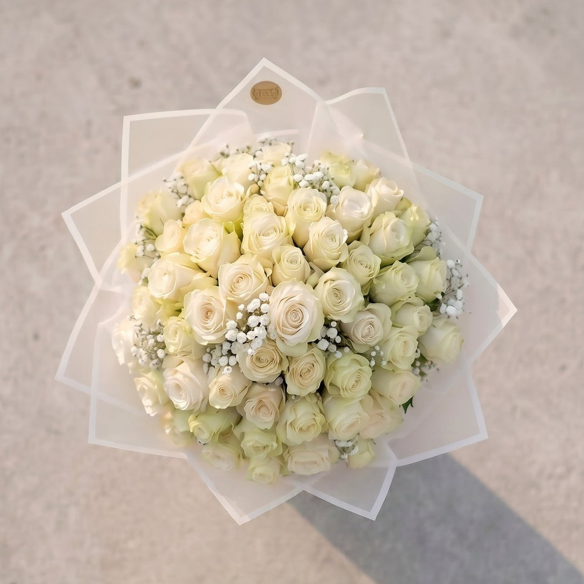 Rosenkuss